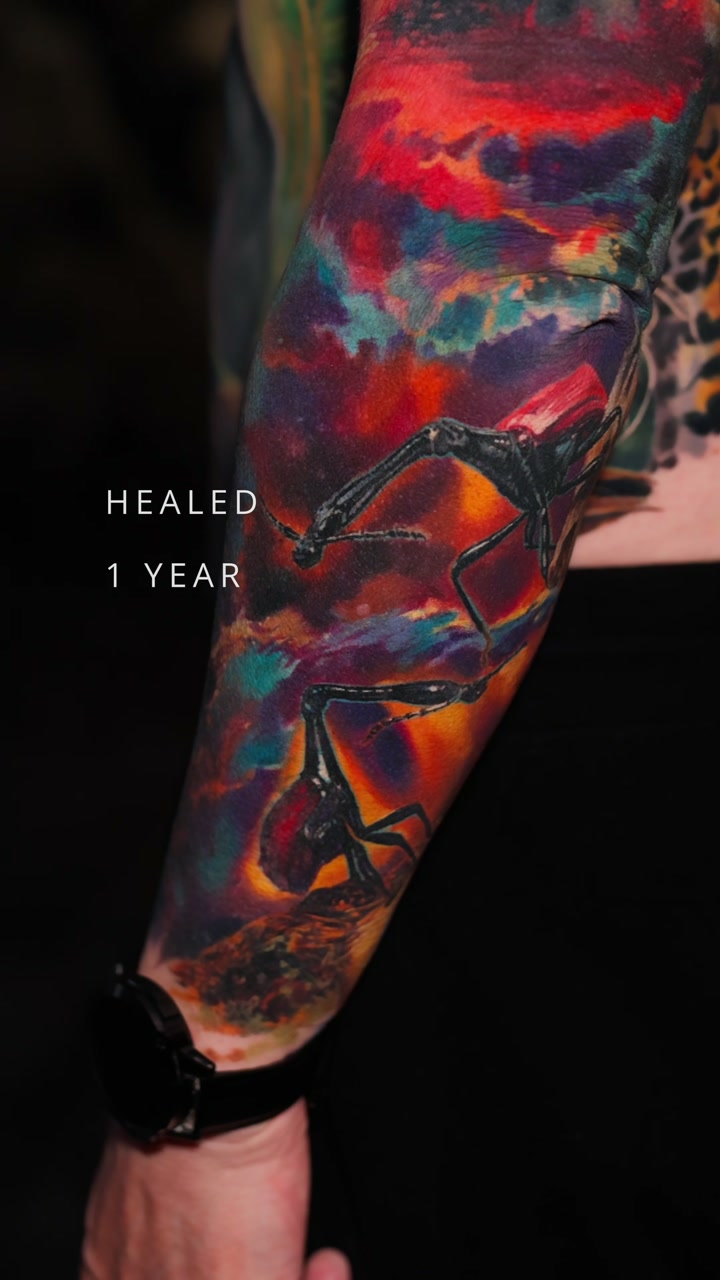 Verheiltes Color-Realism-Sleeve von Alex666cold — Einhorn und Käfer vor kosmischem Nebel-Hintergrund am Unterarm, 1 Jahr verheilt