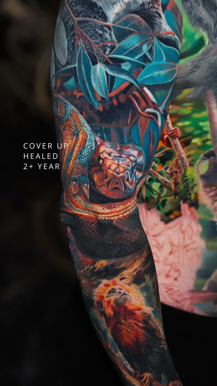 Verheiltes Color-Realism-Cover-up-Sleeve von Alex666cold — Dschungelszene mit Python und Goldenem Löwenäffchen am Arm, 2+ Jahre verheilt