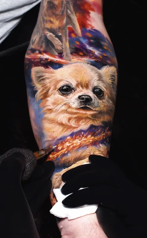 Tatuaż portret psa ze zdjęcia — chihuahua w hiperrealizmie, tatuażysta Wrocław