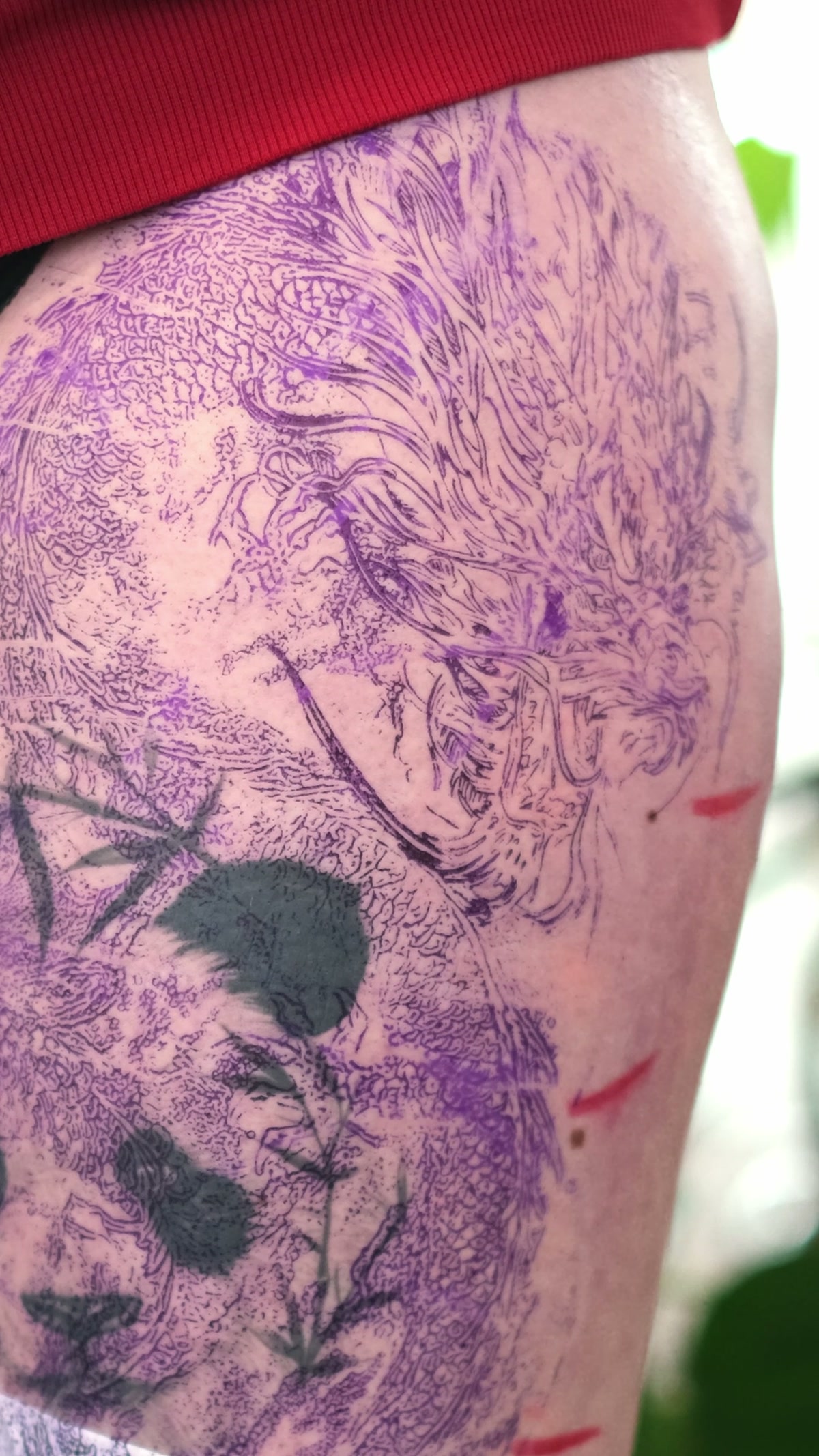 Altes Panda-Tattoo mit Bambus unter dem violetten Stencil des Drachen, vor dem Cover-up auf dem Oberschenkel