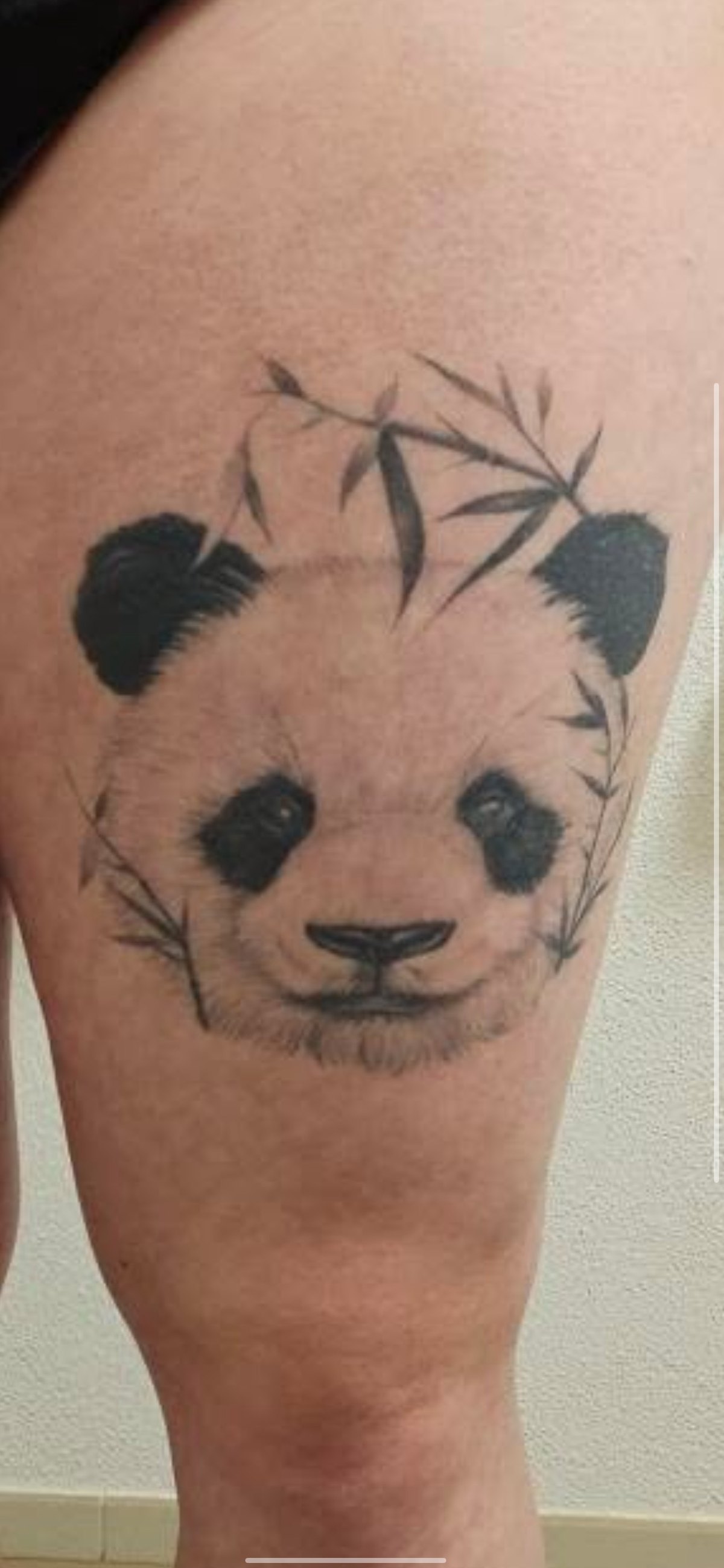 Cover up tatuażu — stan przed: czarno-biała panda z bambusem na udzie, mocno wypełnione czernią uszy i oczy