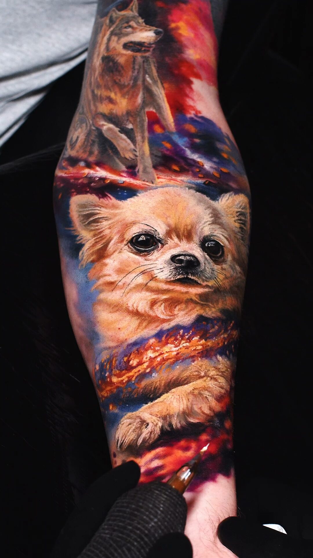 Tatuaż psa z fotografii – realistyczny portret małego, długowłosego pieska, rasa chihuahua, wykonany przez tatuażystę Alex666cold we Wrocławiu