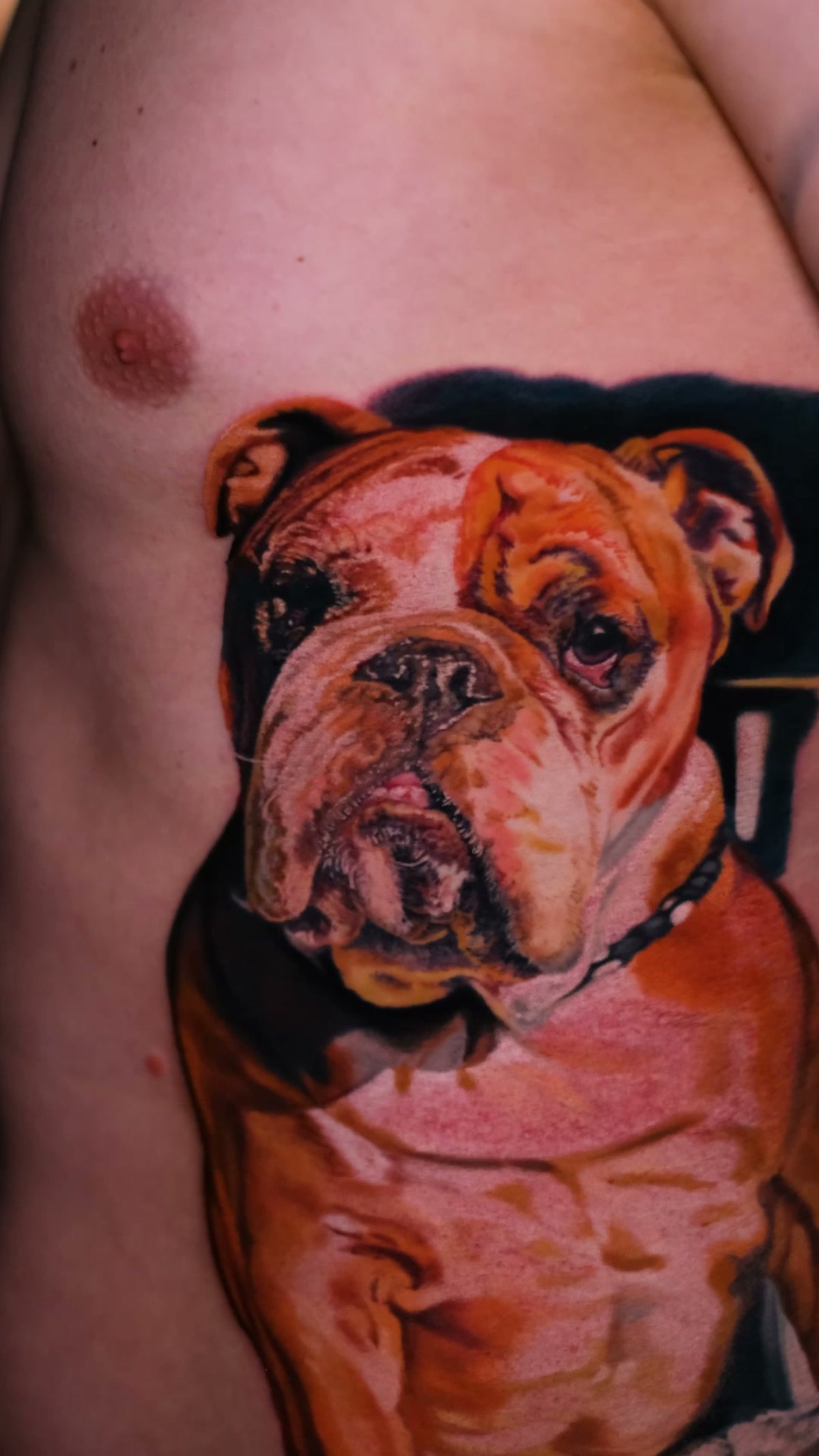 Tatuaż portret psa ze zdjęcia — buldog angielski na żebrach, realizm w kolorze