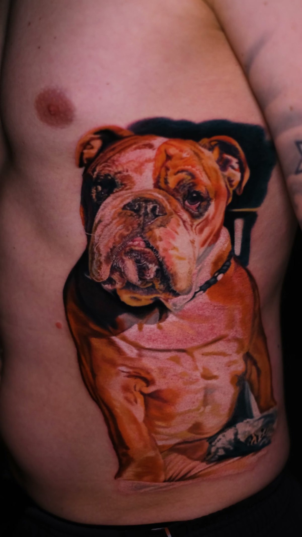 Tatuaż pies ze zdjęcia — buldog angielski, realizm w kolorze, Wrocław