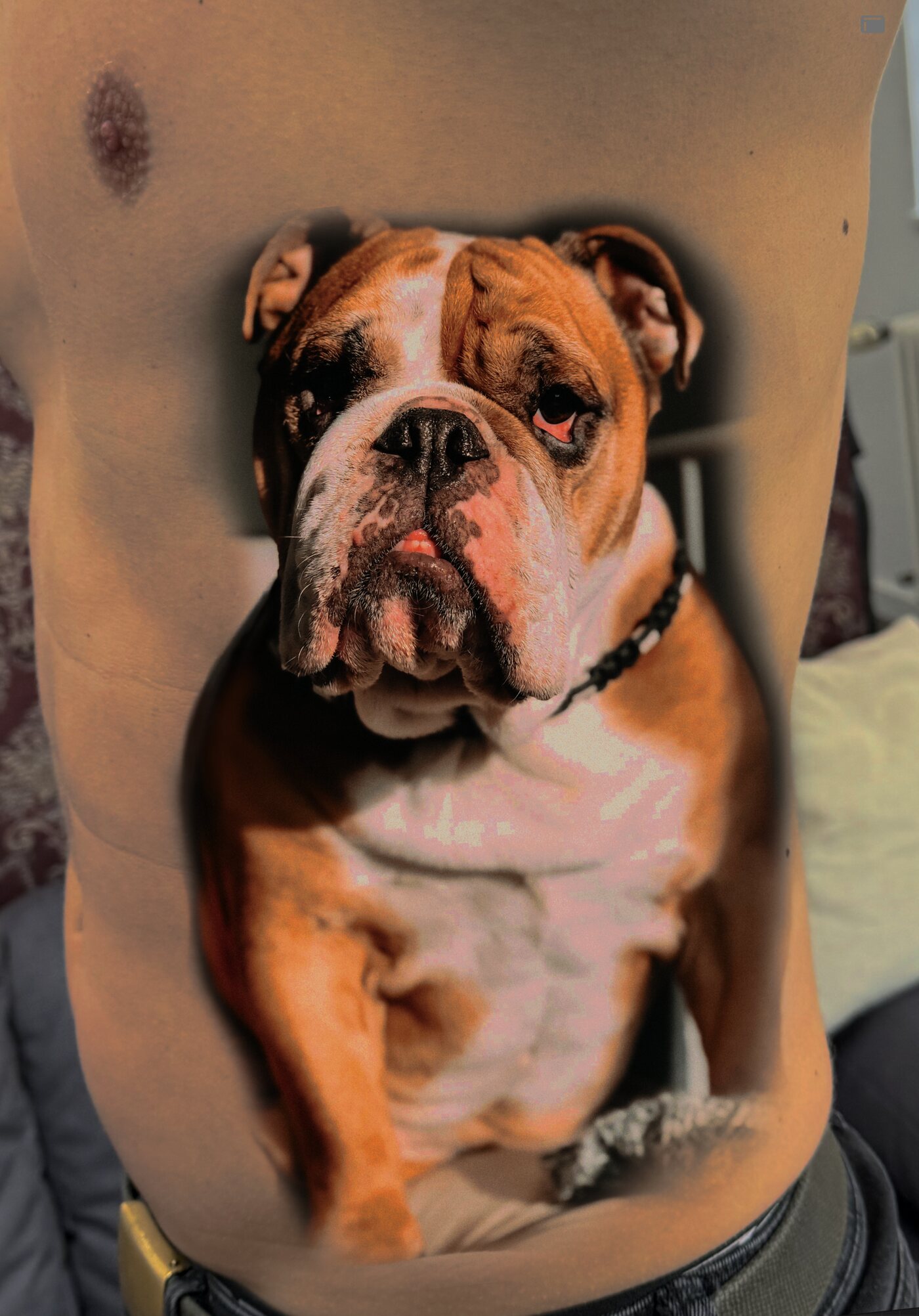 Tattoo-Entwurf auf den Rippen — Foto der Bulldogge auf den Körper übertragen, Vorschau von Größe und Platzierung des Portraits vor dem Tätowieren, Wrocław